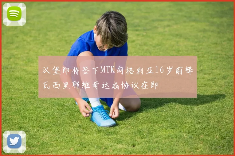 汉堡即将签下MTK匈格利亚16岁前锋瓦西里耶维奇达成协议在即